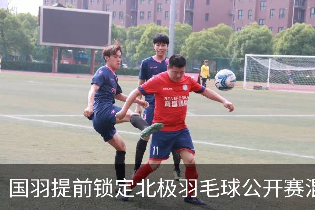 国羽提前锁定北极羽毛球公开赛混双冠亚军